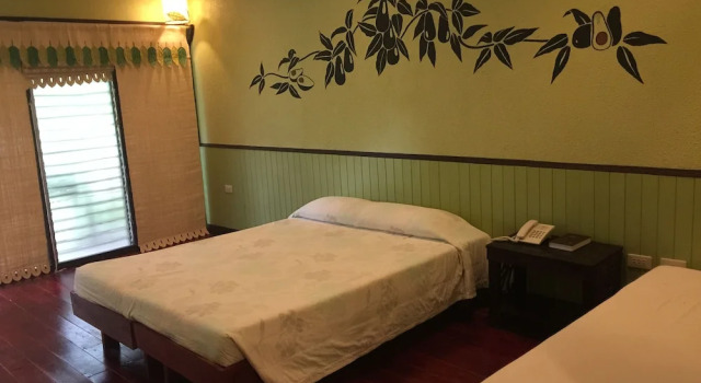 Bungalow Bohol Bee Farm