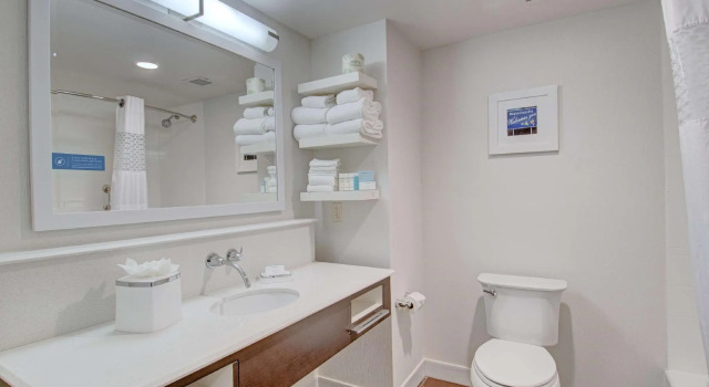 Четырёхместный номер Standard Hampton Inn & Suites Springfield Downtown