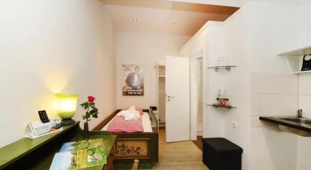 Одноместный номер Economy Rhein-Hotel Nierstein