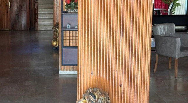 Hotel Nil