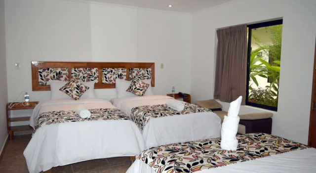Номер Superior Hotel Jungle House