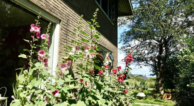 B&B de Pastory, Prenota Bed & breakfast Hotel a Frisia con parcheggio, Parcheggio