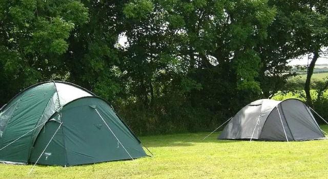 Personal Pitch Tent 6 Persons Glamping 10, Book Campingplads Camping og glamping i Essex, Campingplads