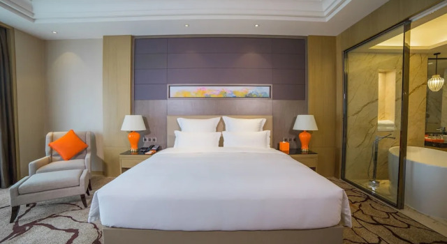 Двухместный клубный номер Executive Pullman Shishi Mattison