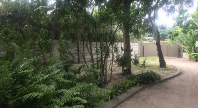 Номер Standard Garden Apartments