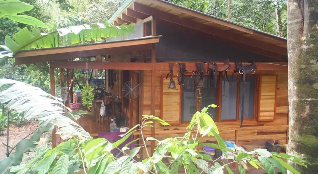 Семейный номер Standard El Tucan Jungle Lodge