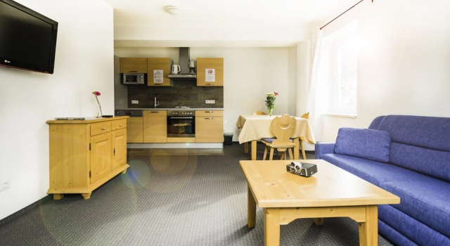 Апартаменты Standard Cityhouse Apartments Schladming