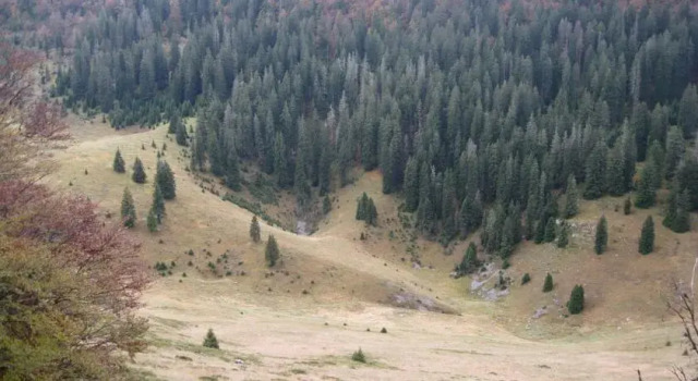 Chalet Lucija, Rezerwuj Chalet  