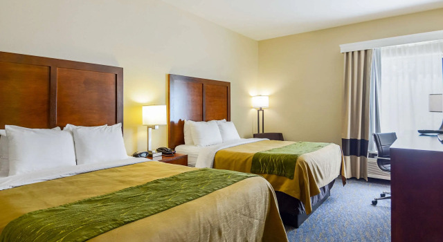 Четырёхместный номер Standard Comfort Inn Woodstock Shenandoah