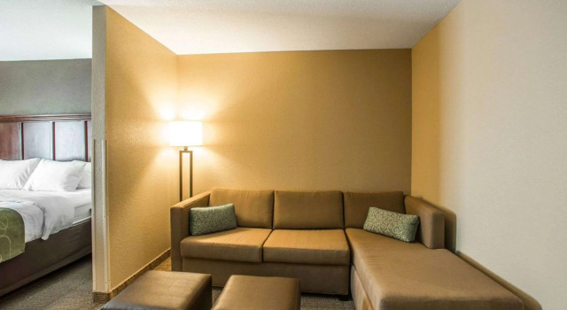 Двухместный люкс Comfort Suites Columbia - University Area