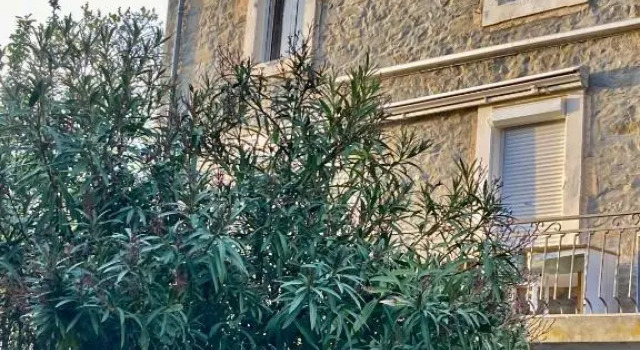 CheRiedel Bed & Breakfast & Art Gallery, Buchen Sie Hotel Azillanet Languedoc-Roussillon