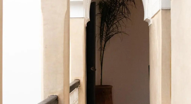 Riad Amegrad