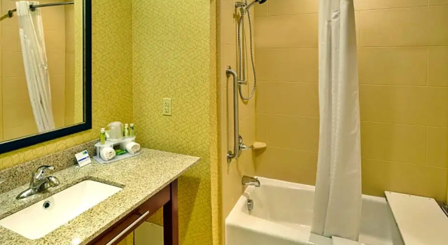 Люкс Standard Holiday Inn Express Frankenmuth by IHG