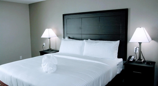 Номер Standard Alexis Hotel & Banquets Dallas Park Central Galleria