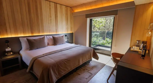 Номер Standard Hualta Hotel Mendoza, Curio Collection by Hilton