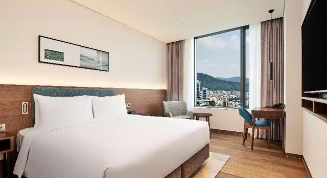 Двухместный номер Guest Hilton Garden Inn Seoul Gangnam