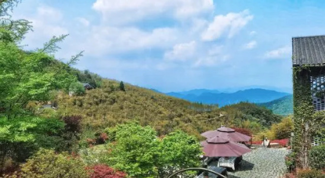 Moganshan·Original Jie Mountain Viewing Sea of Clouds B&B