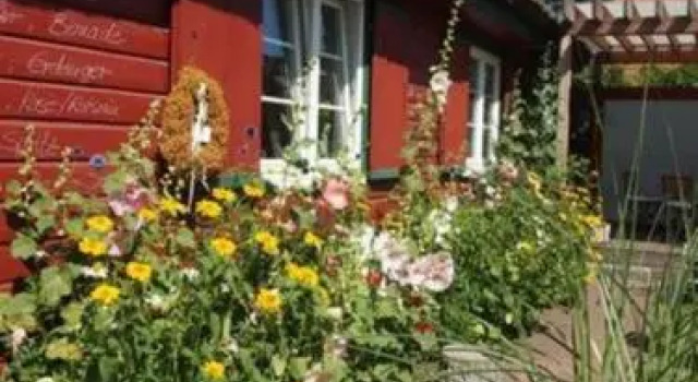 Reetdach _ Promenadenblick _ 500m