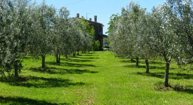 Апартаменты Agriturismo Le Sorgenti