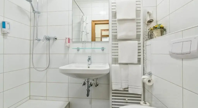 Трёхместный номер Hotel Windsor