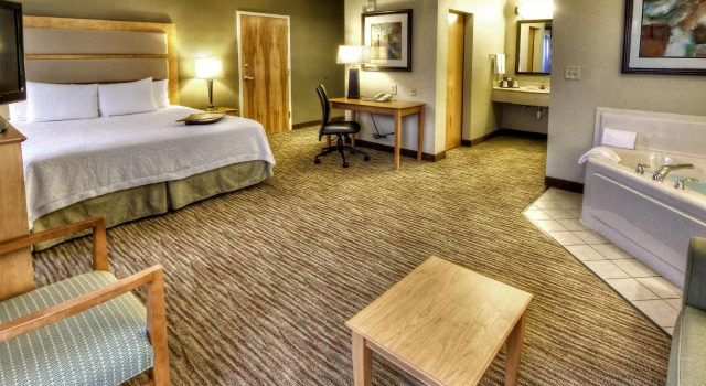 Двухместная студия Hampton Inn & Suites Kalamazoo-Oshtemo