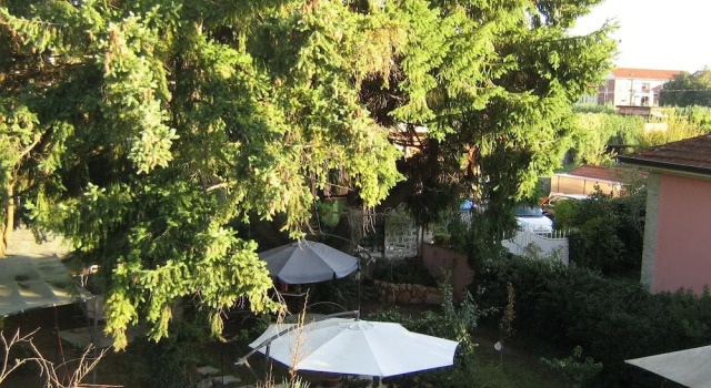 B&B Paradiso