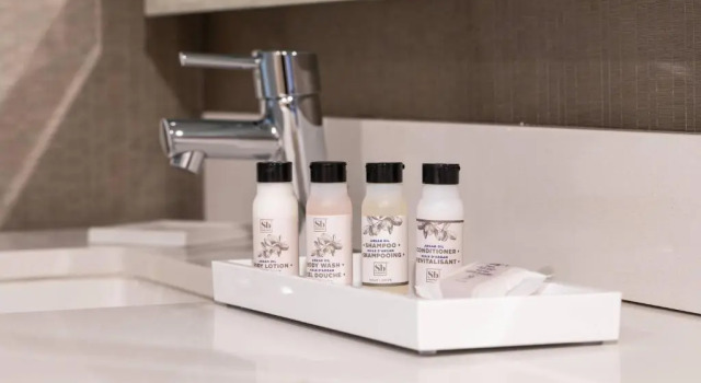 Номер Standard Skyline Hotel Detroit Airport, SureStay Collection by Best Western