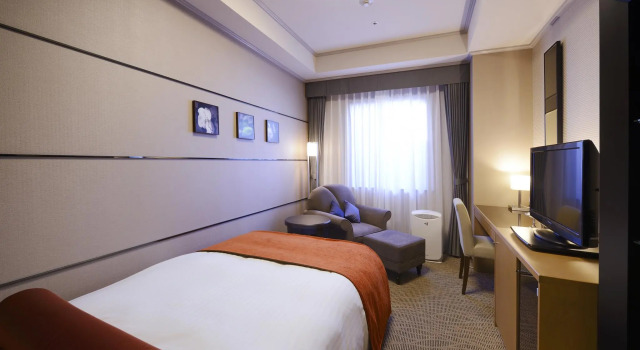 Одноместный номер Standard Viale Osaka