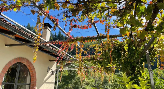 Коттедж La Limonaia di Casagrande