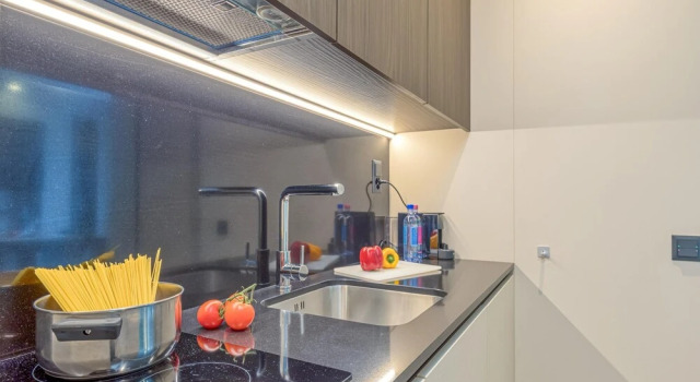 Семейный люкс Icon H 205 Suite Micro-living