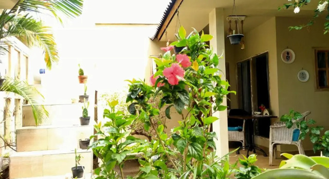 Номер Standard Little Elephant Cottage