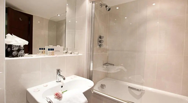 Двухместный номер Deluxe Danubius Hotel Regents Park
