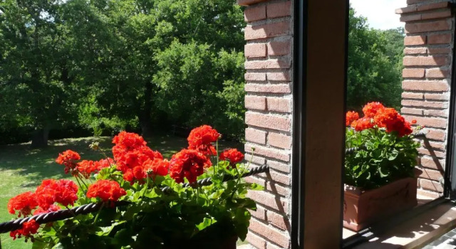 Апартаменты Agriturismo Colli di Travale