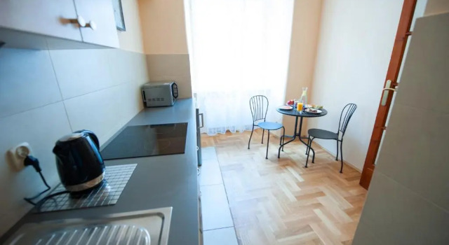 Апартаменты c 1 комнатой с балконом Apartments Roman