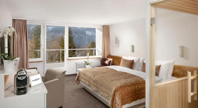 Номер Deluxe Hotel Waldegg