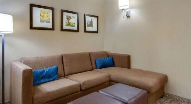 Одноместный полулюкс Comfort Suites Hotel and Conference Center