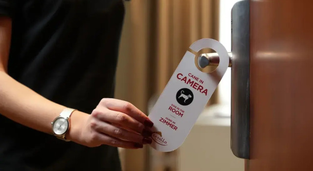 Номер Comfort Cavallo Hotel Verona Est