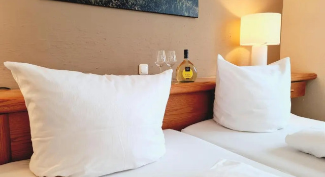 Номер Standard Hotel Goldenes Fass