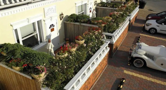 Dover Garden Suites, Забронировать Отель Отели Довер 3 звезды, рядом с Bayhealth Hospital, 3*