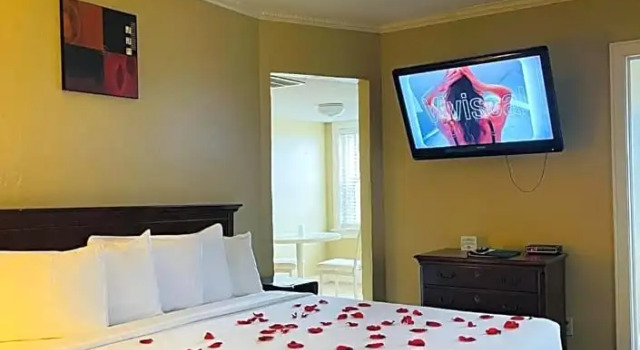 Studio Senate Luxury Suites