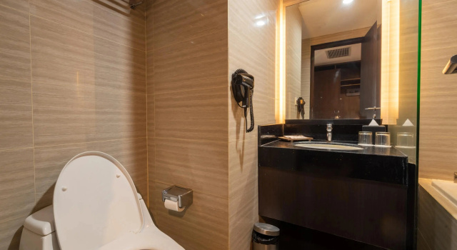 Номер Deluxe Brits Hotel Legian