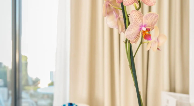 Номер Standard Samian Mare Hotel, Suites & Spa
