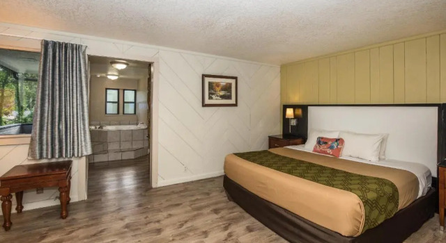 Двухместный номер Deluxe Fabulous Chalet Inn