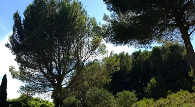Mas Magali, Rezerwuj Apartament Paradou Alpilles