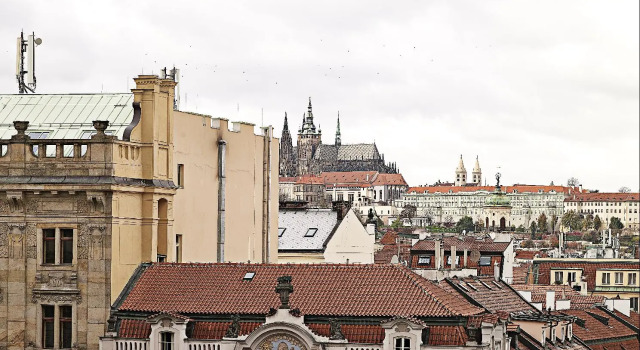 Ambassador Zlatá husa
