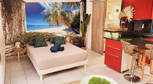 Le studio TAHITI 4 pers 600m de la plage la favière