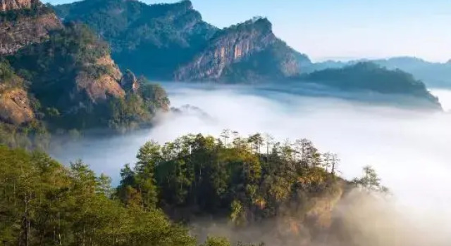Xiang Yun Duan Homestay, Book Hotel Wuyishan Fujian