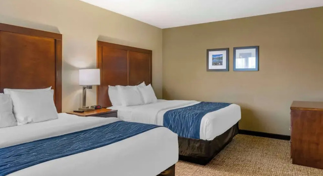 Люкс Comfort Inn Bozeman near University