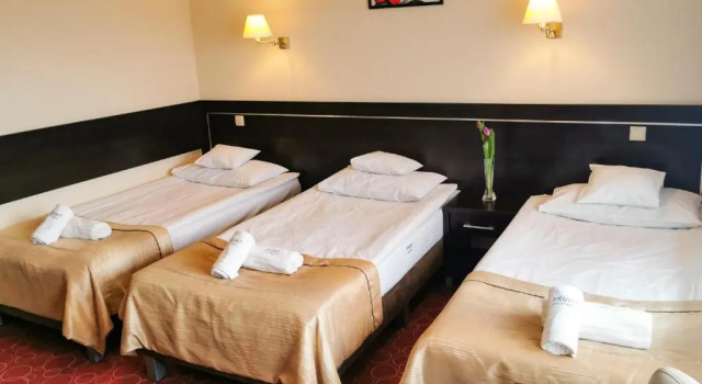 Трёхместный номер Standard Hotel Aquarius Restaurant Wellness Spa