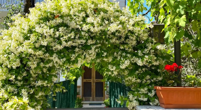 Casa Vacanza Lilia vicino la Stazione e Caserma, Book Hotel Hotels in Foligno with Parking, Parking